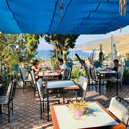 Turkuaz Séjour chez l'habitant Kaş
